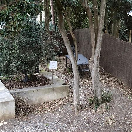 Au Vieux Lavoir Avec Parking Prive, Jardin , Climatisation, A 500 M De La Cite Каркассонн Екстер'єр фото