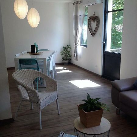 Au Vieux Lavoir Avec Parking Prive, Jardin , Climatisation, A 500 M De La Cite Каркассонн Екстер'єр фото