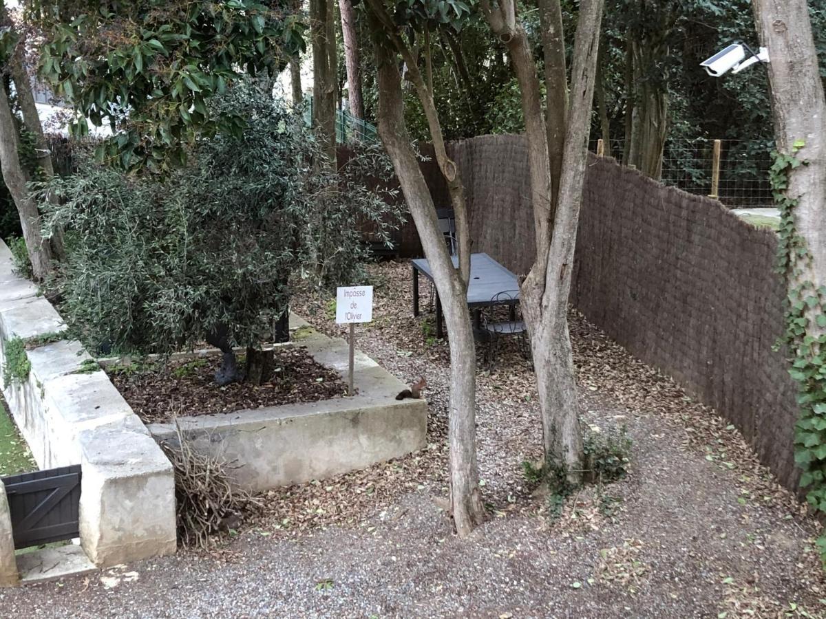 Au Vieux Lavoir Avec Parking Prive, Jardin , Climatisation, A 500 M De La Cite Каркассонн Екстер'єр фото