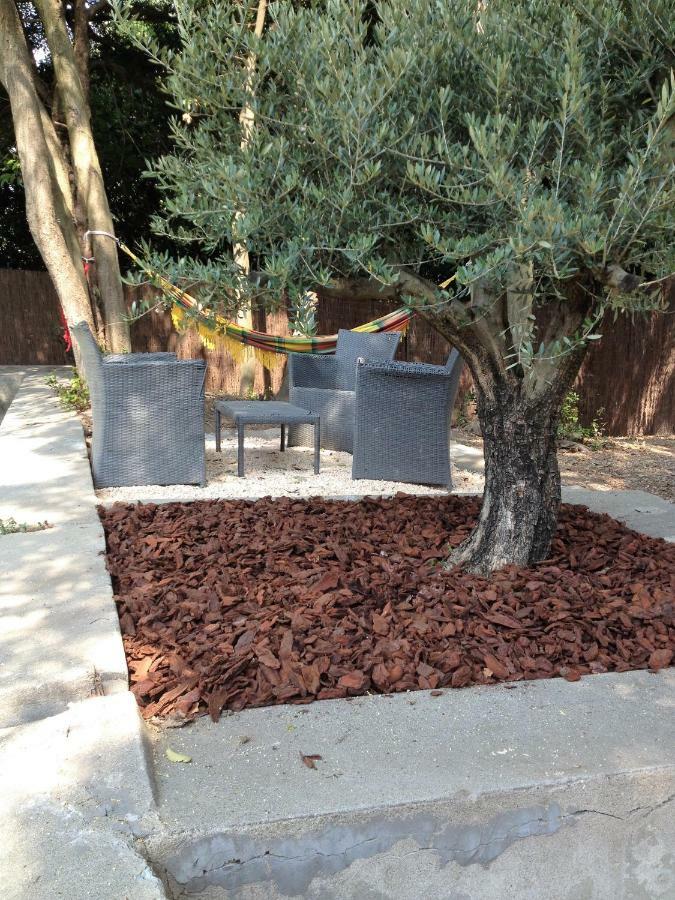 Au Vieux Lavoir Avec Parking Prive, Jardin , Climatisation, A 500 M De La Cite Каркассонн Екстер'єр фото
