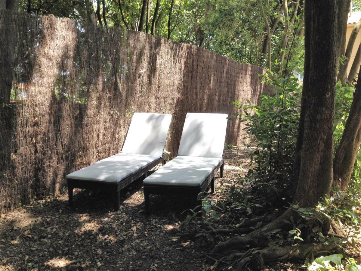 Au Vieux Lavoir Avec Parking Prive, Jardin , Climatisation, A 500 M De La Cite Каркассонн Екстер'єр фото