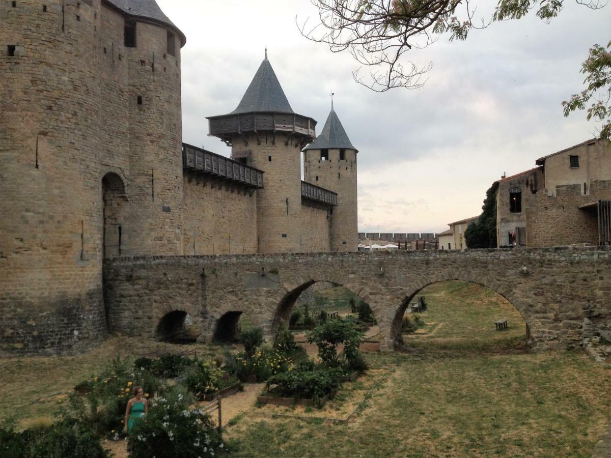 Au Vieux Lavoir Avec Parking Prive, Jardin , Climatisation, A 500 M De La Cite Каркассонн Екстер'єр фото