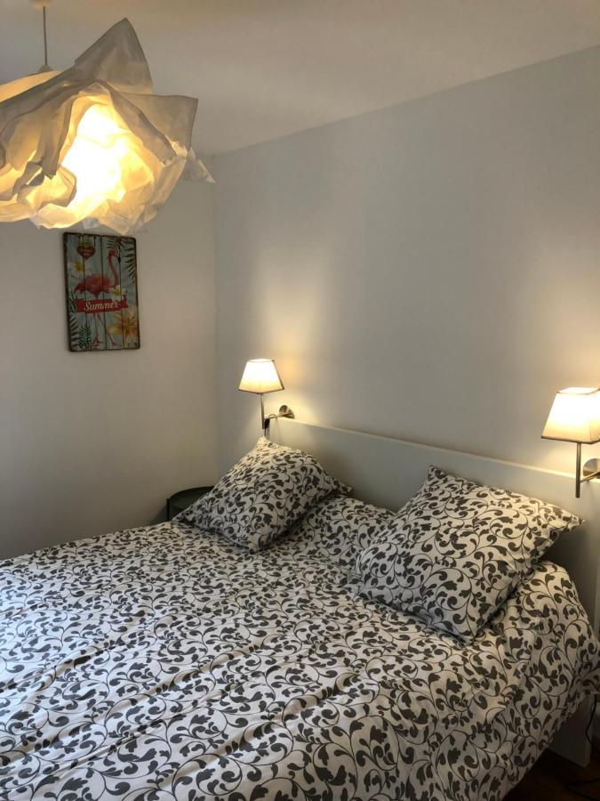 Au Vieux Lavoir Avec Parking Prive, Jardin , Climatisation, A 500 M De La Cite Каркассонн Екстер'єр фото